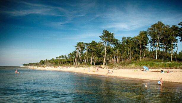 A beach with clear water, sandy shore, and trees. - Seaside Cottage With Terrace and Lovely Garden (Darlowo)