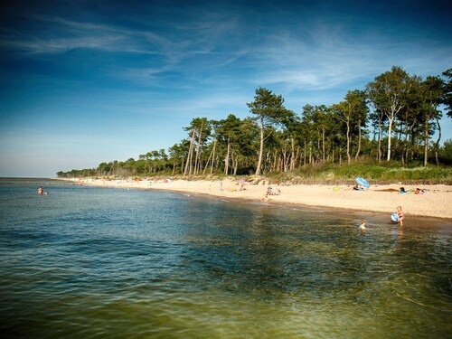 Seaside Cottage With Terrace and Lovely Garden