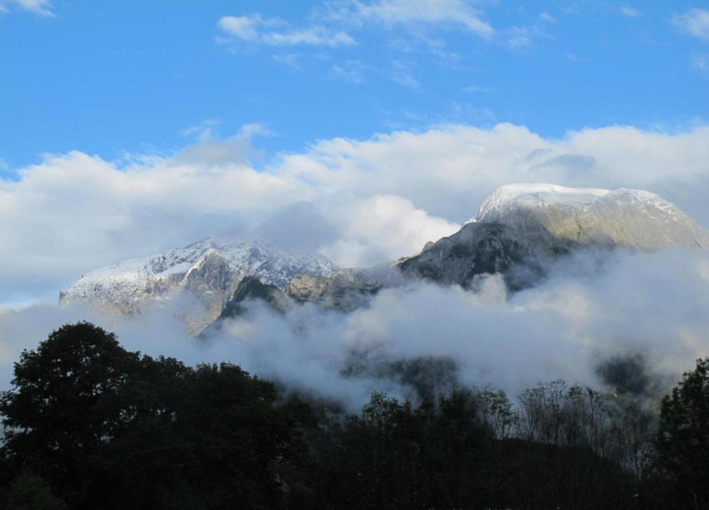 A mountain partially obscured by clouds, with a forested foreground.