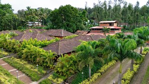 Zona residencial con varias casas, cada una con tejado de baldosas y rodeada de exuberante vegetación y palmeras.