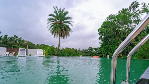 Una piscina con agua cristalina, rodeada de exuberante follaje y una palmera.