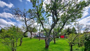A grassy area with trees and a house in the background.