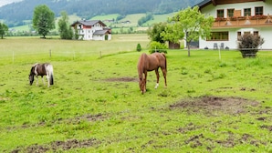 Nicht klassifiziertes Bild, 4 von 39, Schaltfläche