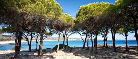 Spiaggia