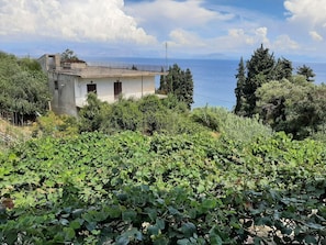 Apartment | View from property