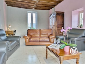 Télévision, cheminée, baby-foot, table de tennis de table