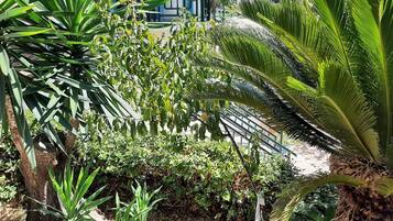 Appartement | Exterieur