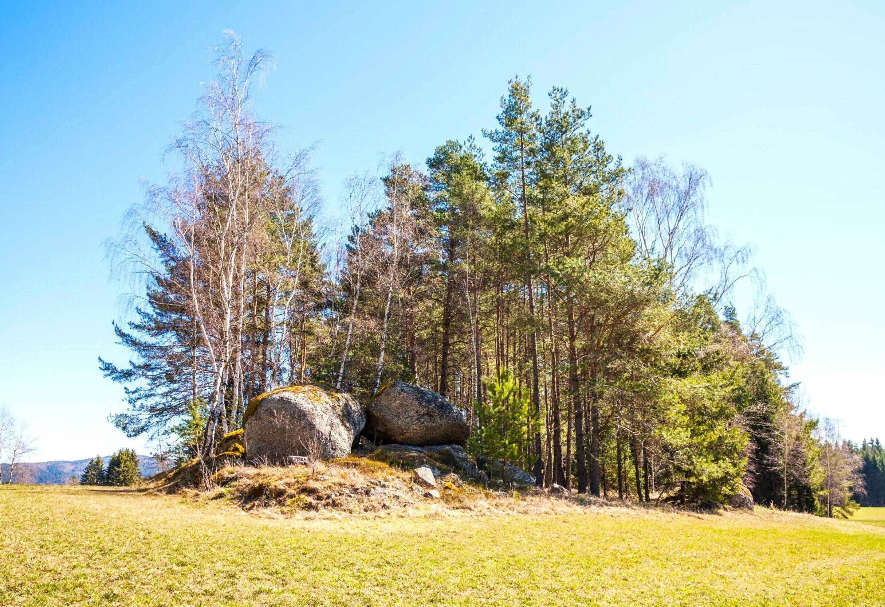 A natural landscape with a grassy field, large boulders, and a variety of trees.