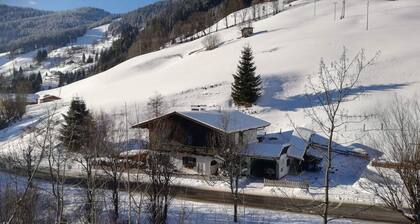 Apartment in Dienten Near Gabuhel Ski Lift