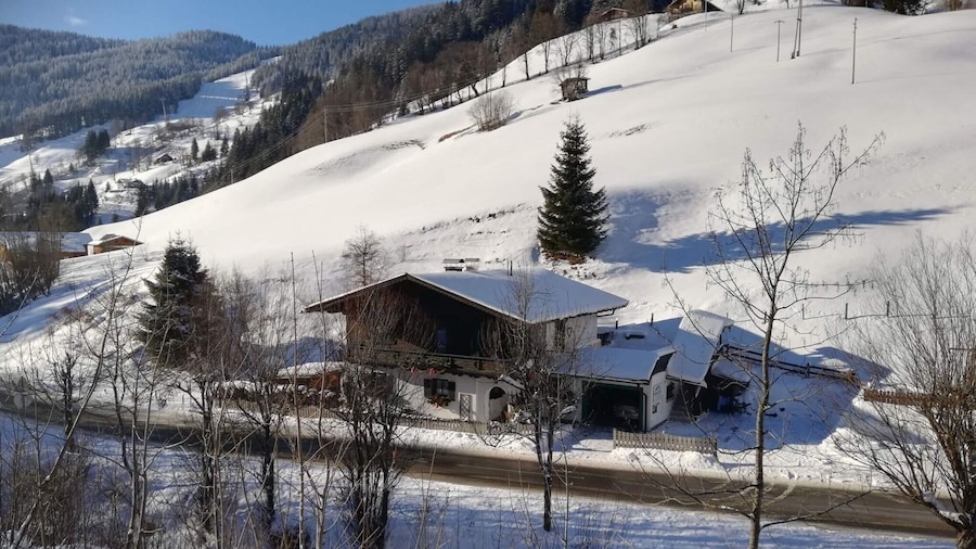 Apartment in Dienten Near Gabuhel Ski Lift