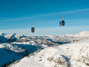 House | View from property - High-quality Apartment With ski Storage (Kleinarl)