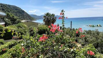 Apartamento | Fachada