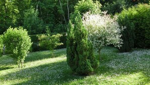 Un jardin avec différents arbres et une pelouse.