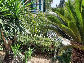 Apartment | Exterior - Pleasing Apartment in Mpenitses With Terrace (Corfu)