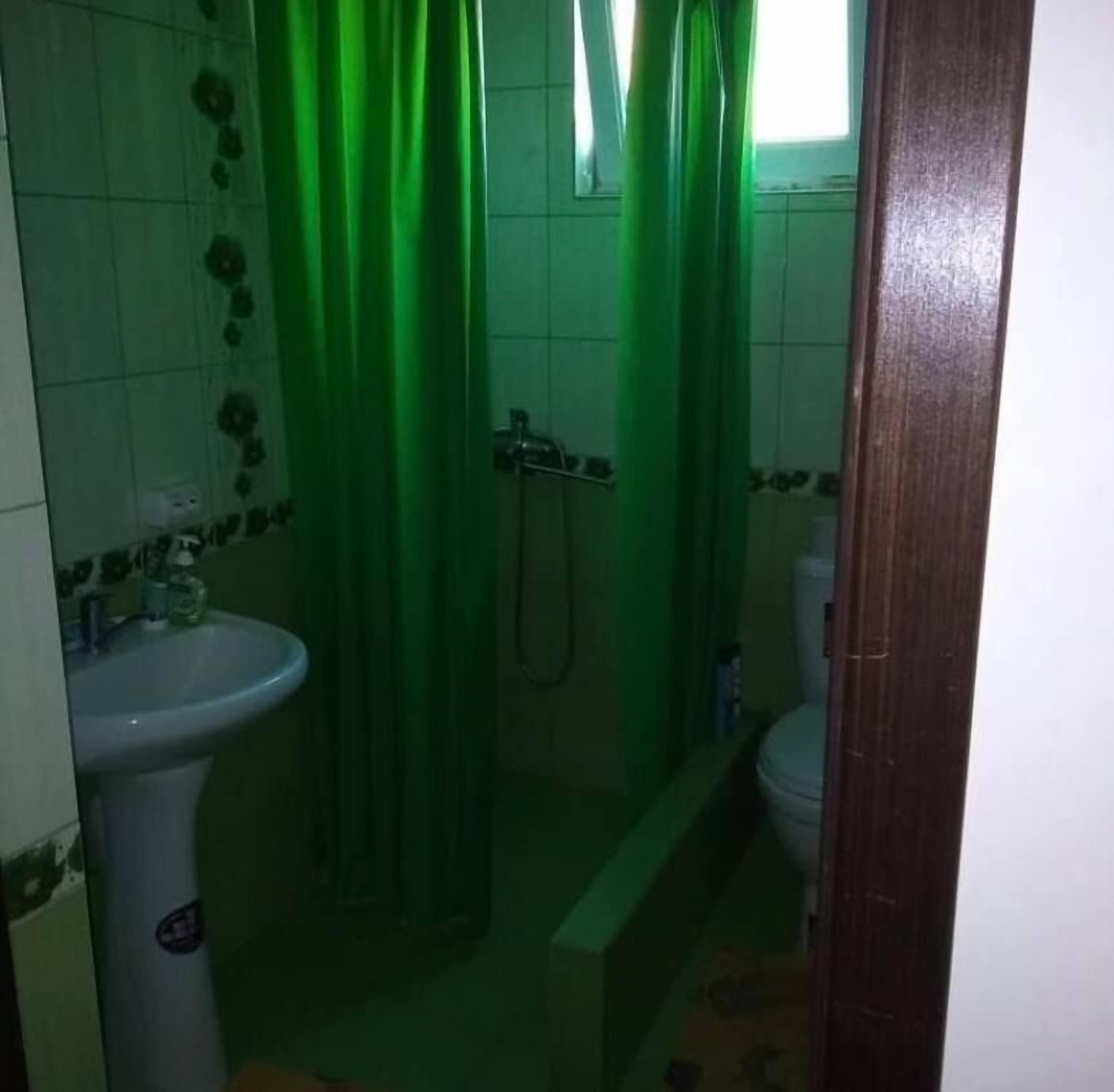 Une salle de bain avec un rideau de douche vert, un lavabo et des toilettes.