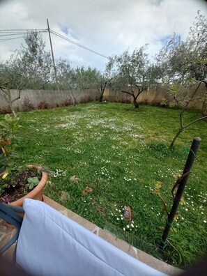 A garden with a variety of plants and a concrete wall in the background. - Holiday house Chill out (Marcana)