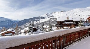 Property grounds - High Class Chalet ski In/out Next to le Rouge (Val de Bagnes)