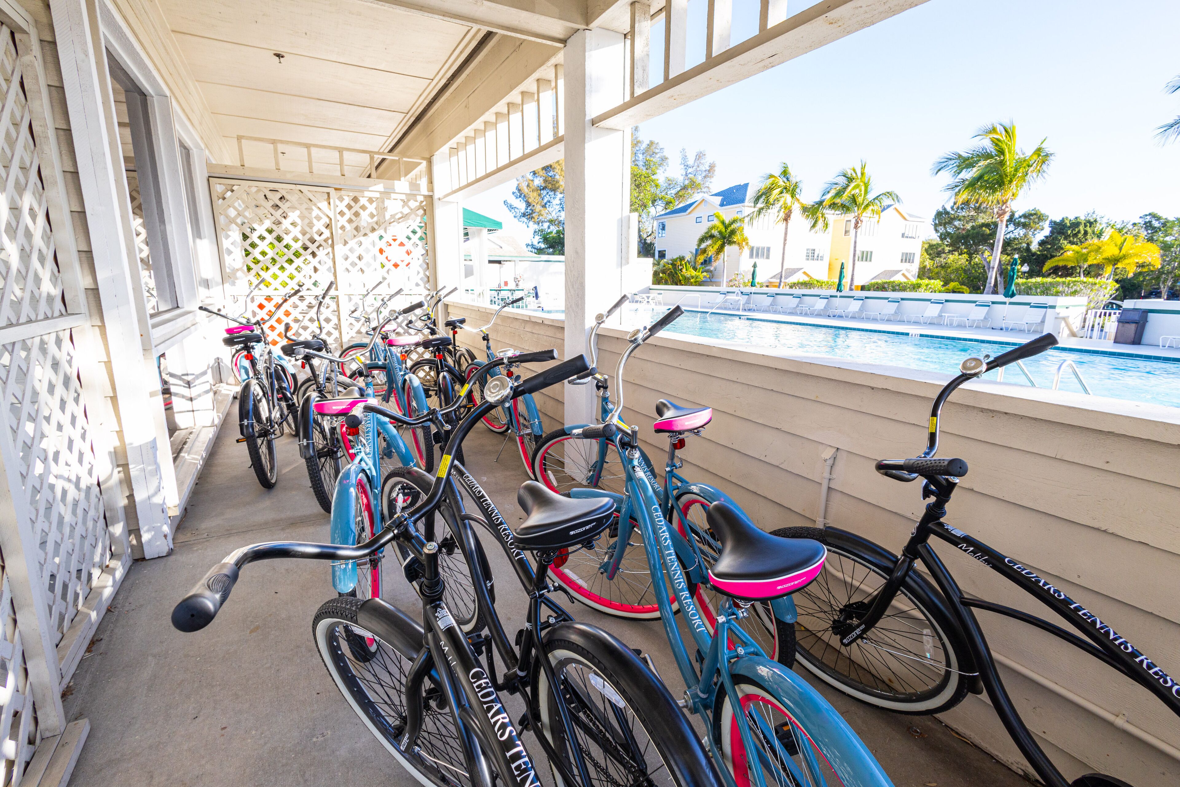 A covered bike parking area with bicycles lined up, overlooking a swimming pool and palm trees.