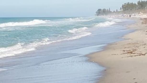 A beach with clear skies and calm waves.