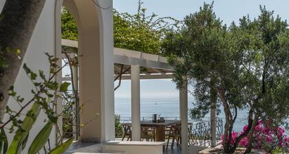 Dream villa