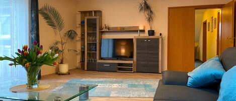 Smart-TV, Bücher