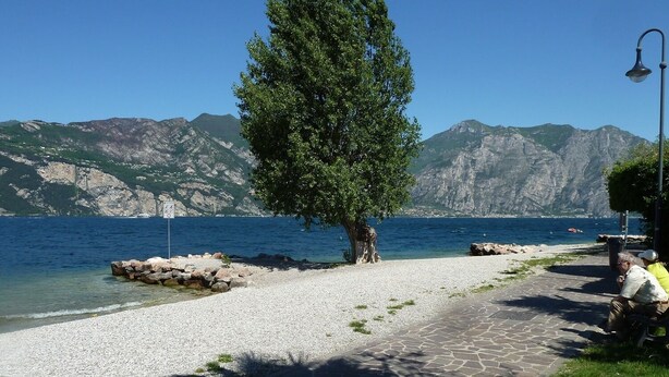 Een kiezelstrand met een boom, rotsformaties en bergen op de achtergrond.