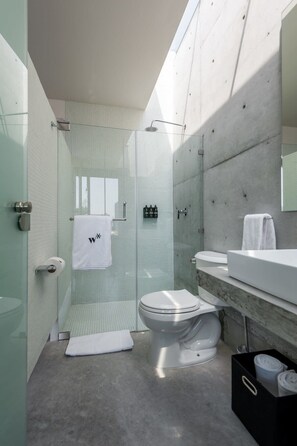 Shower, hair dryer, towels, shampoo