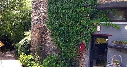 LaComte5 Cozy, Authentic converted Ardennes farmhouse