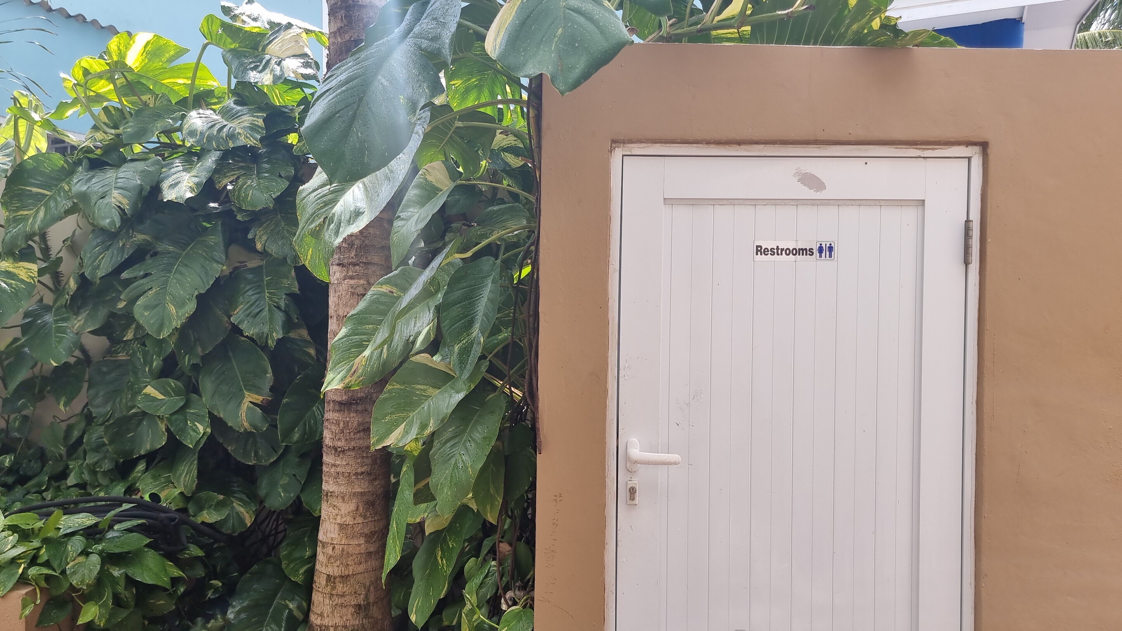 Détail de l’extérieur