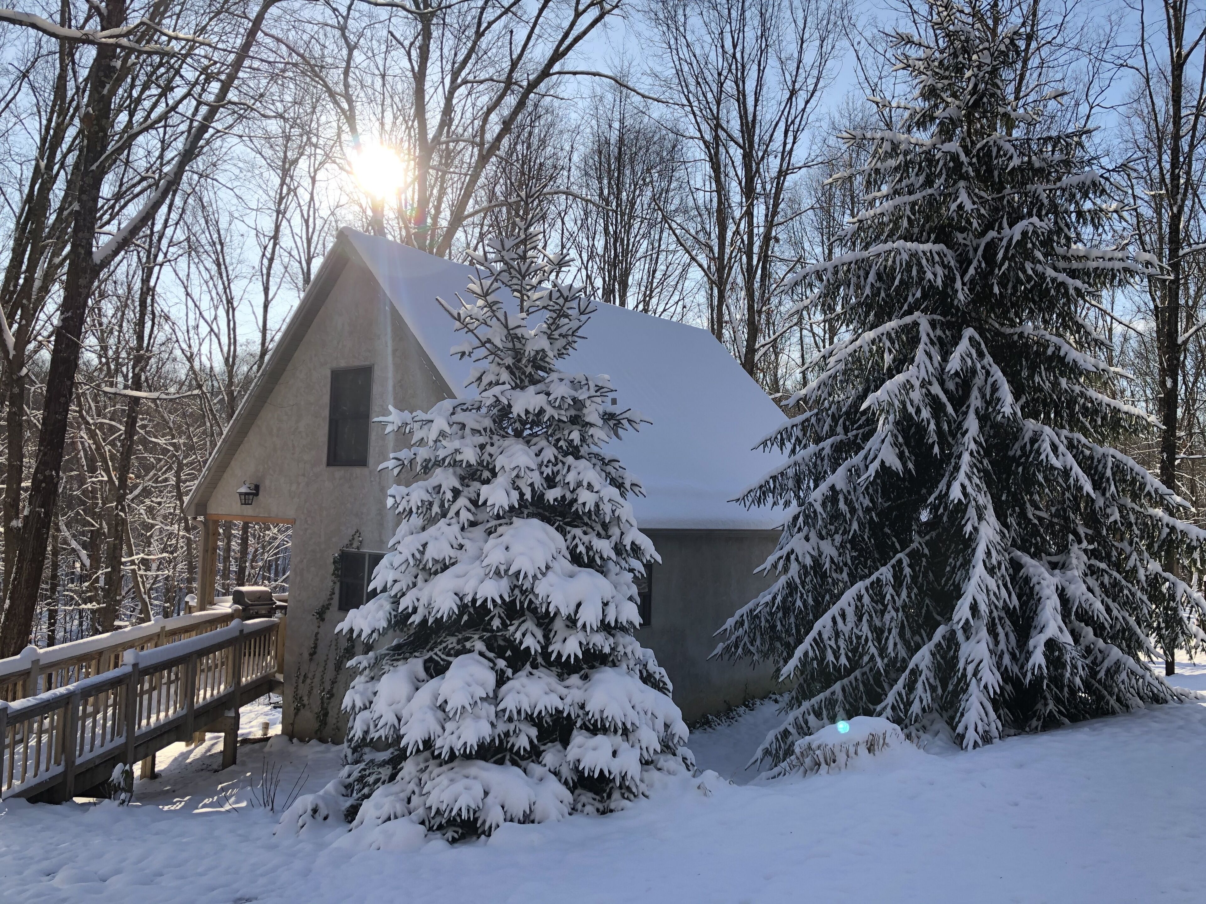 A snow-covered cabin with a wooden deck and a large evergreen tree in front.