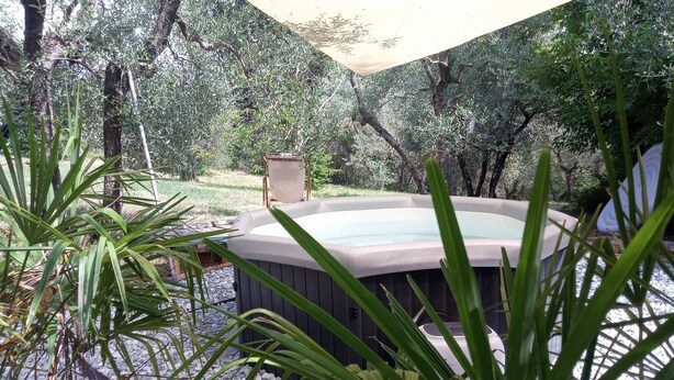 Ein Whirlpool in einem Garten, umgeben von Bäumen und Pflanzen.