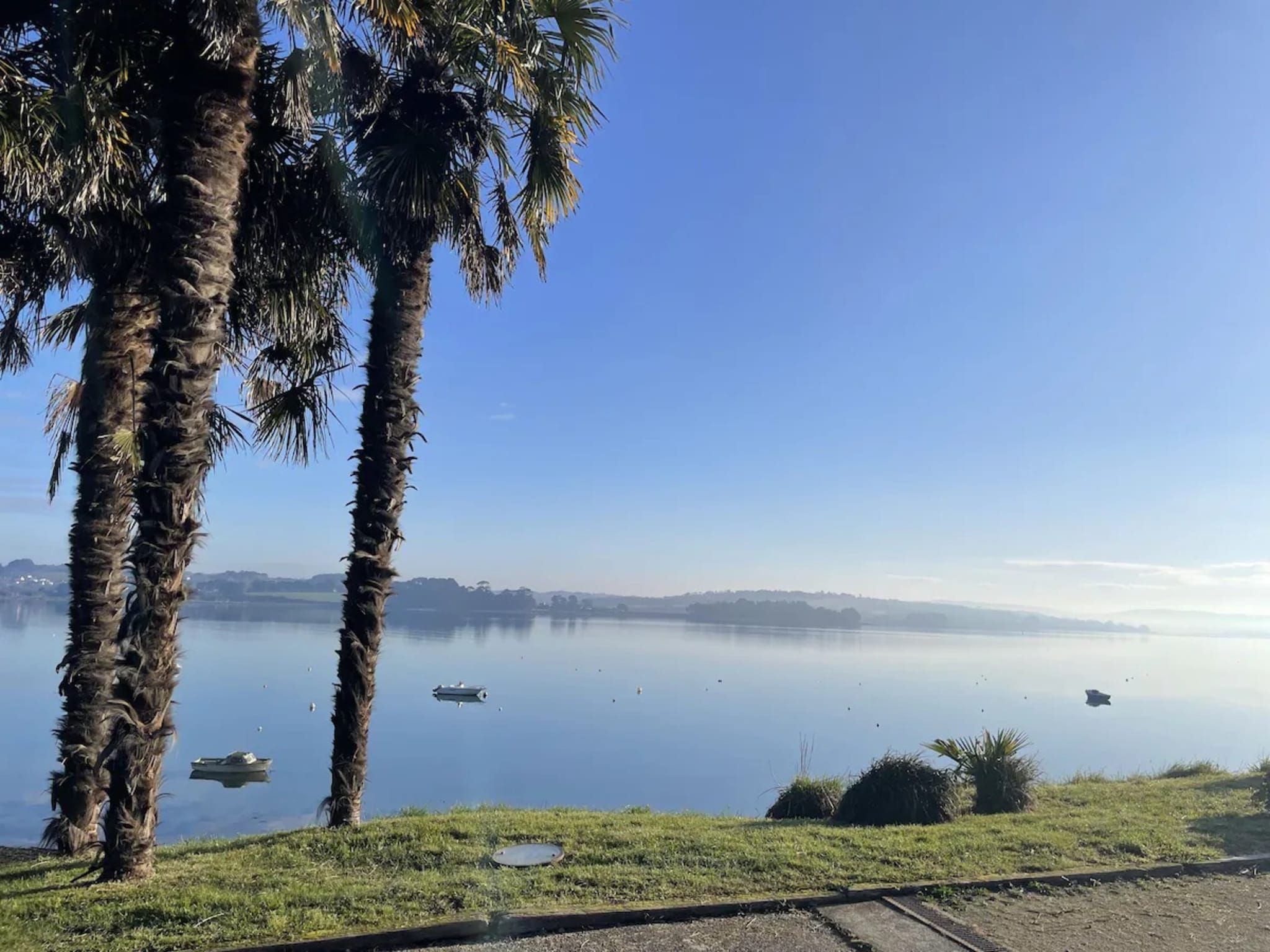 Un llac tranquil amb aigua calma, envoltat d'herba i palmeres.