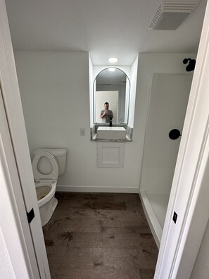 Shower, bidet, towels, toilet paper - House on the Lake, Private Dock (Lake Ozark)