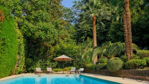 A swimming pool surrounded by lush greenery, including tall palm trees and various shrubs. - The Moulin de Boursac - Historic renovated Mill with a huge pool (Vence)