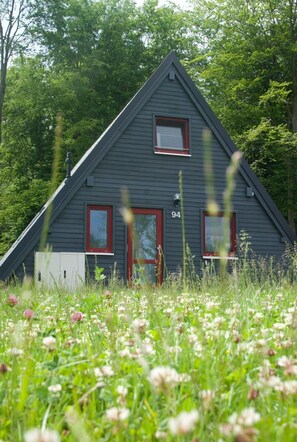 A dark-colored, triangular-roofed house with a red door and windows, surrounded by lush greenery and wildflowers.
