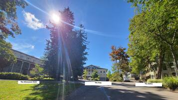 A sunny street with The Athenaeum Hotel, The Amp, and The Aldine buildings.