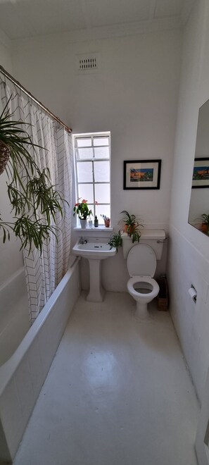 Handtücher, Toilettenpapier