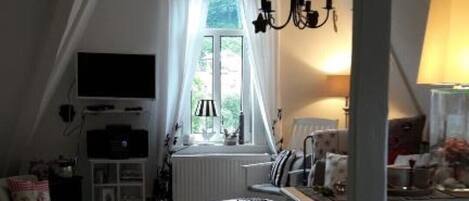 TV connectée, cheminée, lecteur de DVD, livres