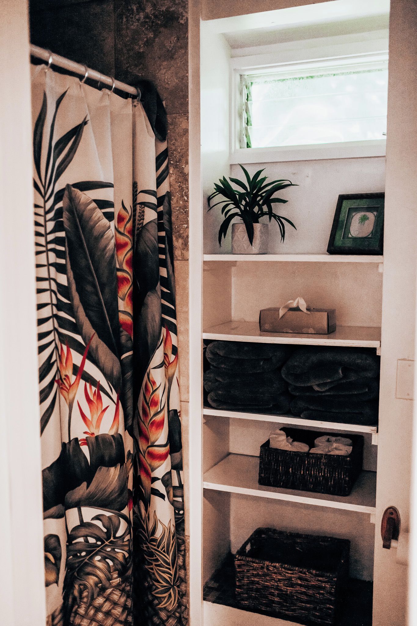 A storage area with shelves, a potted plant, and a window.