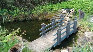 A wooden bridge over a small stream with surrounding greenery and rocks. - Gîte Alsace Maison Avec Jardin Proche Strasbourg (Mutzig)