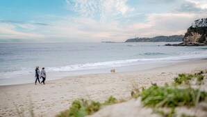 A beach with two people and a dog walking along the shore. - Luxury absolute beachfront home (Noraville)