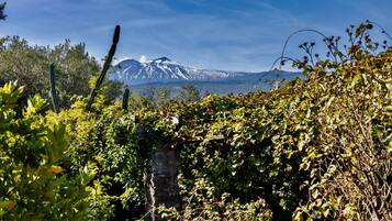 Paisagem montanhosa com pico nevado, vegetação densa e uma antiga muralha de pedra.