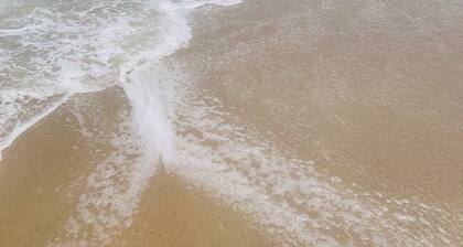 1.5+mile Bethany Beach - Luxury Spacious Family Beach Home linens & towels incl.