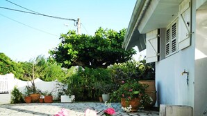 Un patio con suelo de baldosas, plantas en macetas y un árbol.