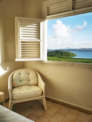 Interior - Sea view from Villa Parme (Le Robert)