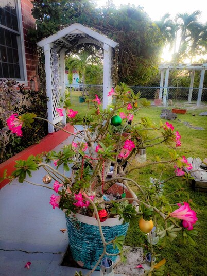 Slice of Paradise- 2 mins from Spotts Beach!