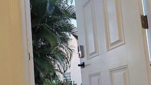 A white door with a security camera and a mailbox, leading to a paved area with a palm tree and a bush with red flowers. - Slice of Paradise- 2 mins from Spotts Beach! (Patricks Island)