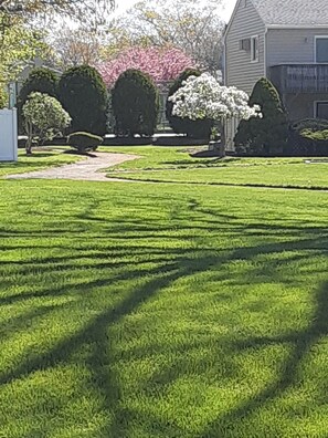 Property grounds