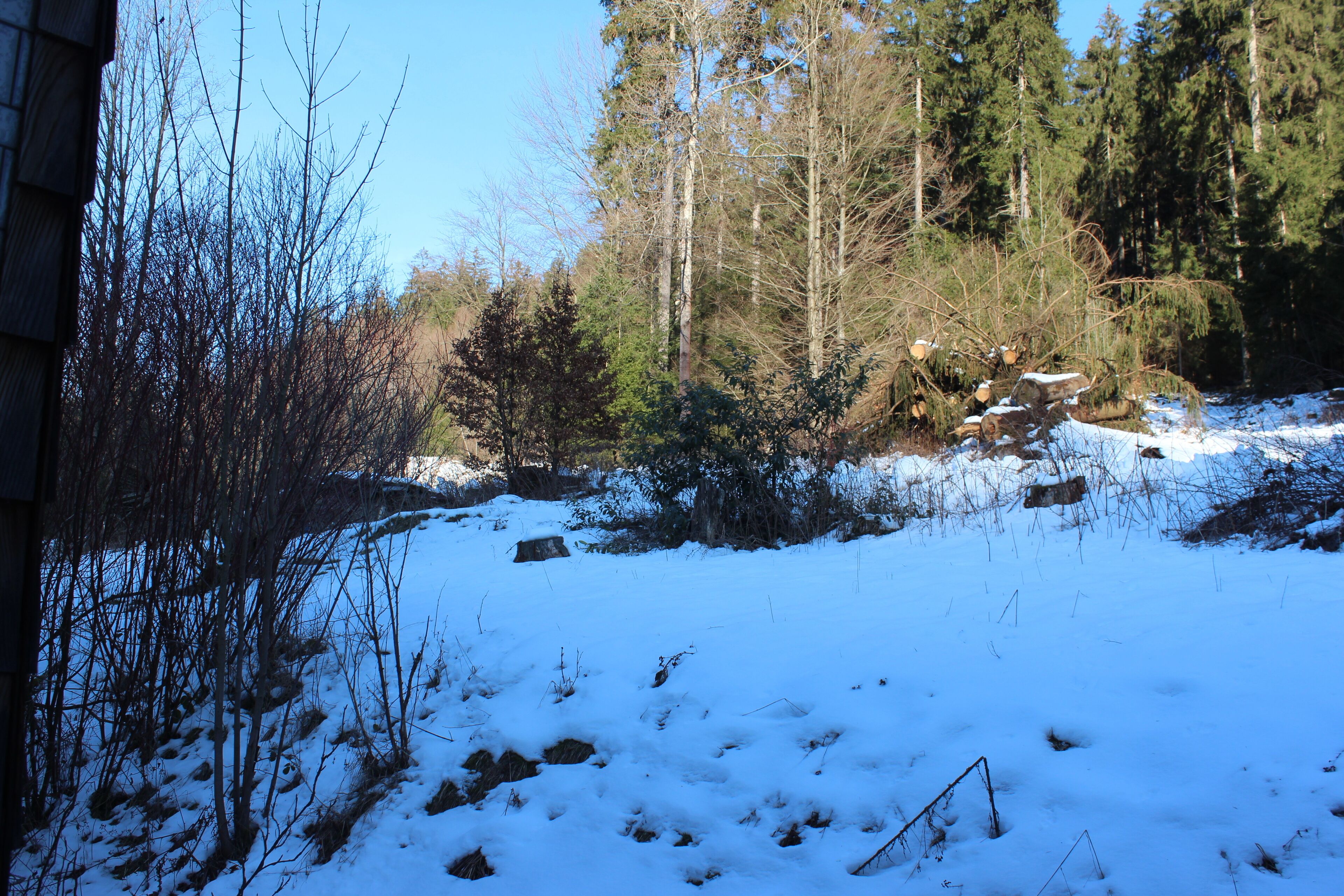 Schneebedeckte Landschaft mit Bäumen und einem Gebäude.