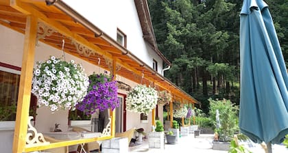 Waldhotel Pfeiferhaus